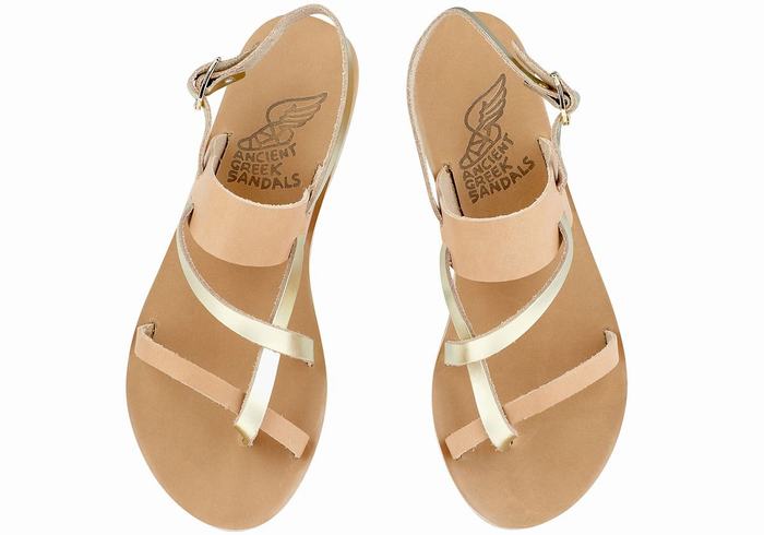 Sandales Bride Arrière Ancient Greek Sandals Alethea Leather   | HEU-3624129